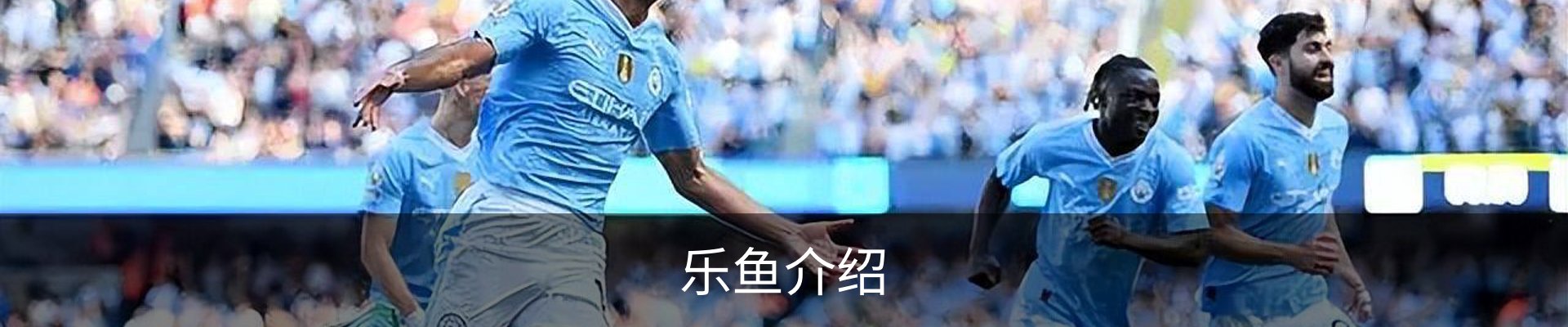 乐鱼介绍